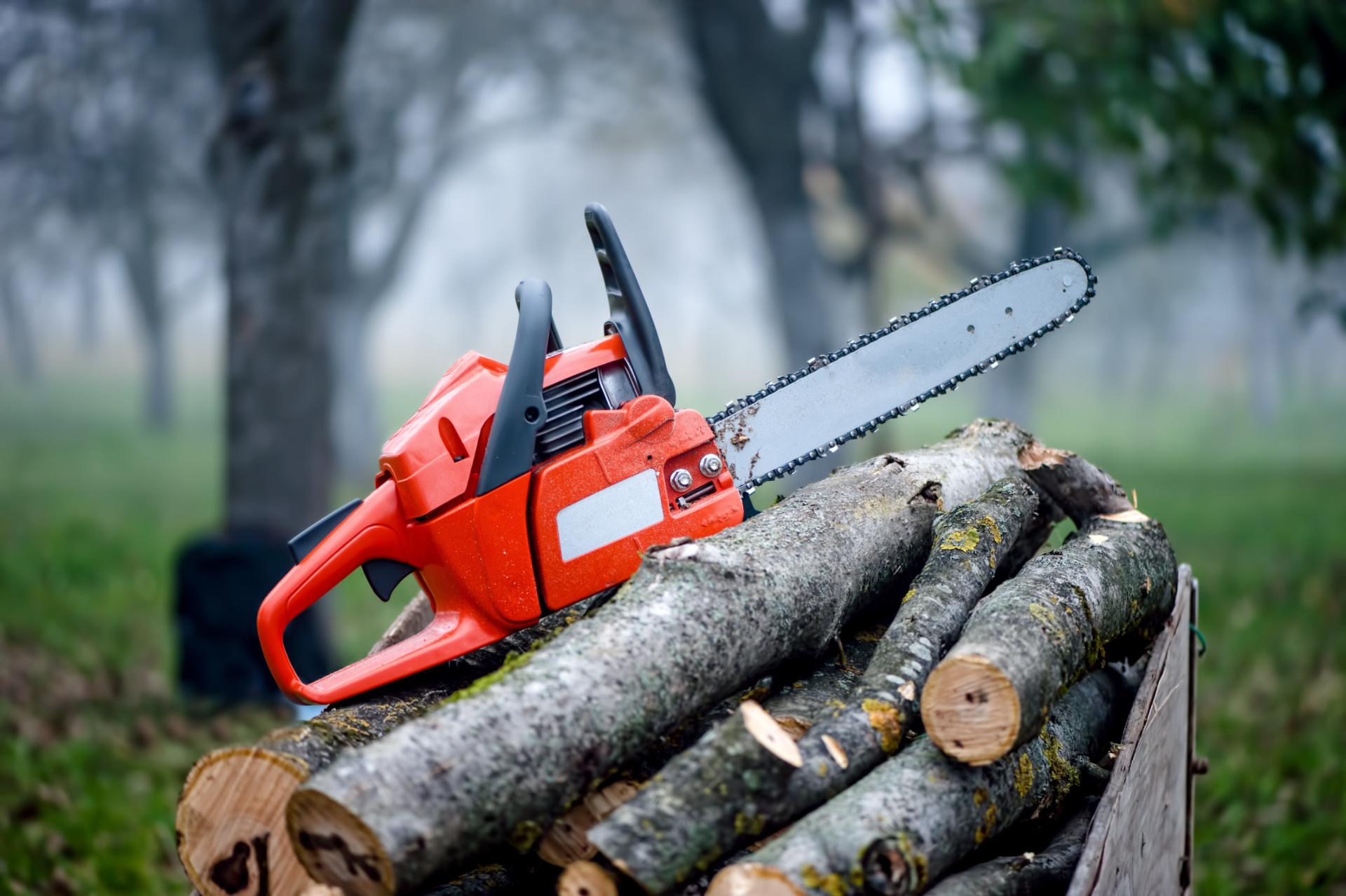 A chainsaw sitting on a pile of logs.